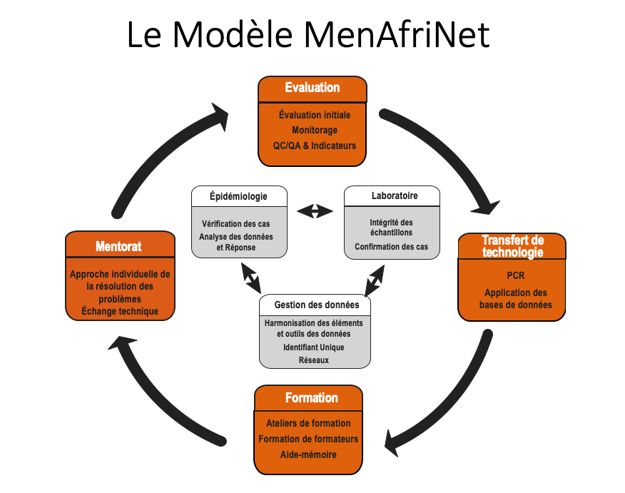 menfarinetmodel